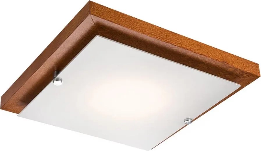 LED таванно осветително тяло LED/12W/230V