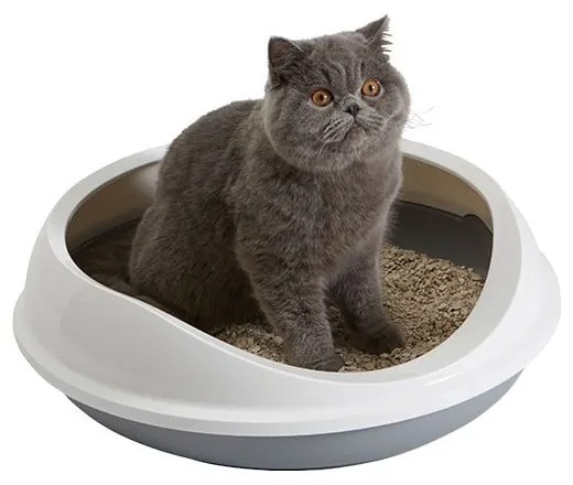 Бяло-сива котешка тоалетна 49x55 cm Savic Figaro - Plaček Pet Products