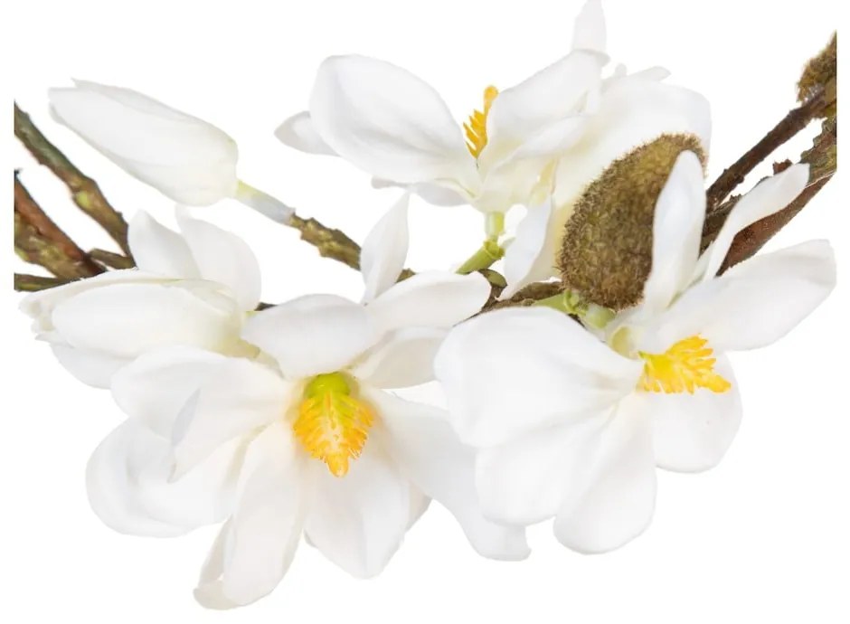 Венец Magnolia – Ixia