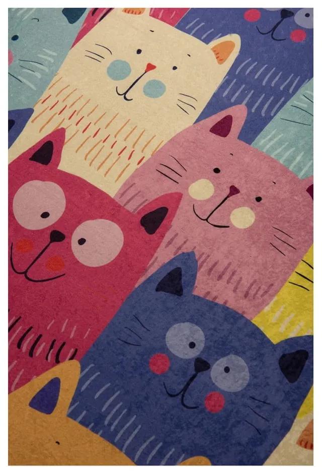 Детски килим , 100 x 160 cm Cats - Conceptum Hypnose