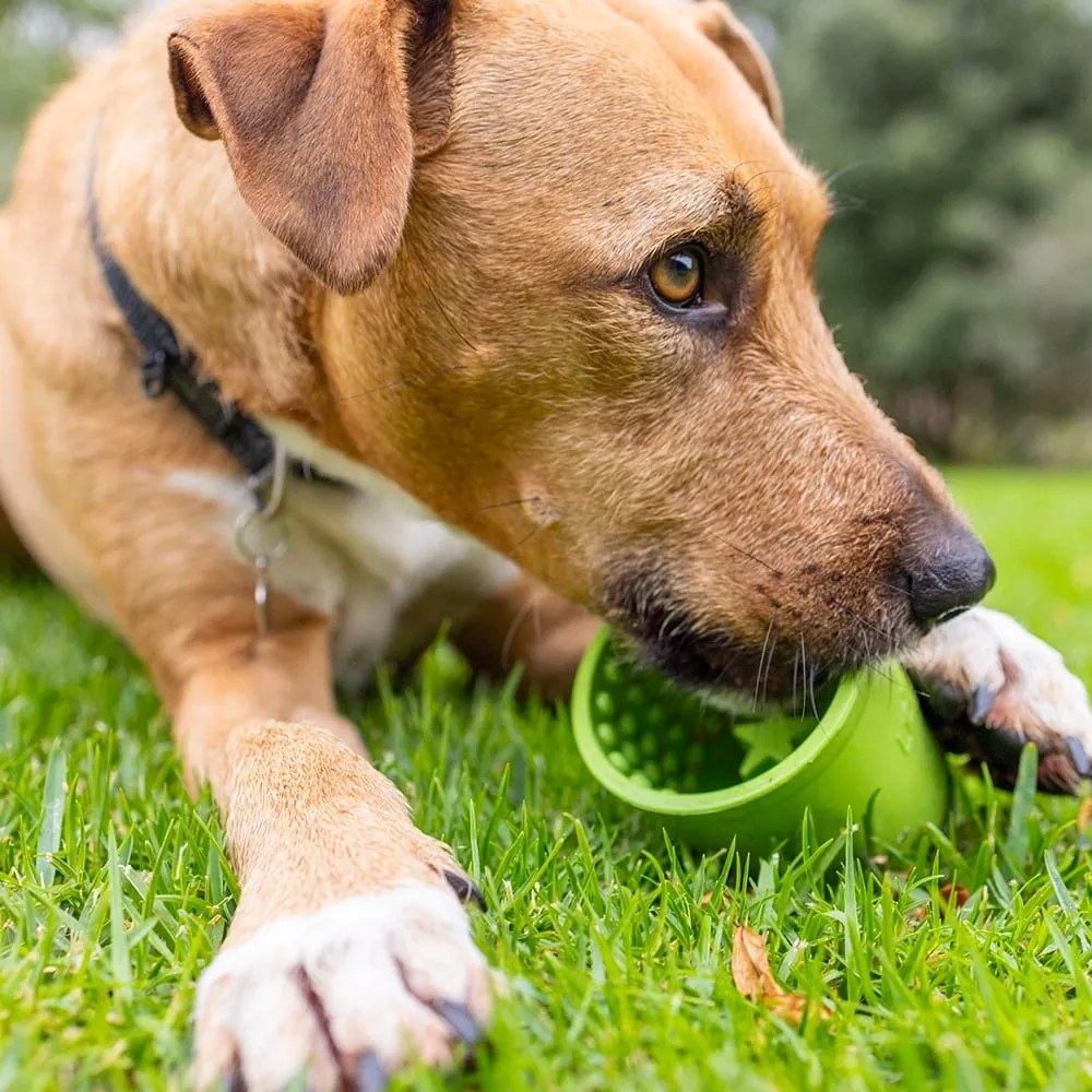 Купичка за облизване Yoggie Pot Green – LickiMat