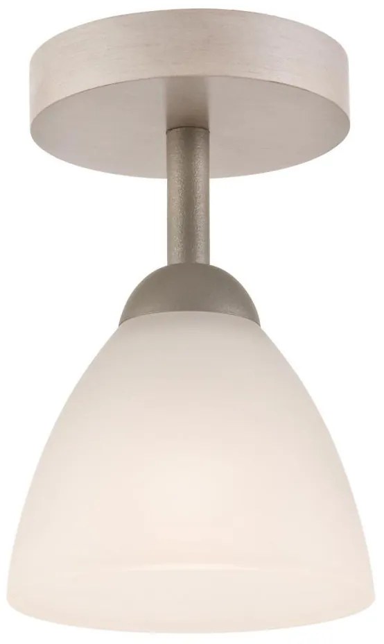 Полилей за повърхностен монтаж ADRIANO 1xE27/60W/230V