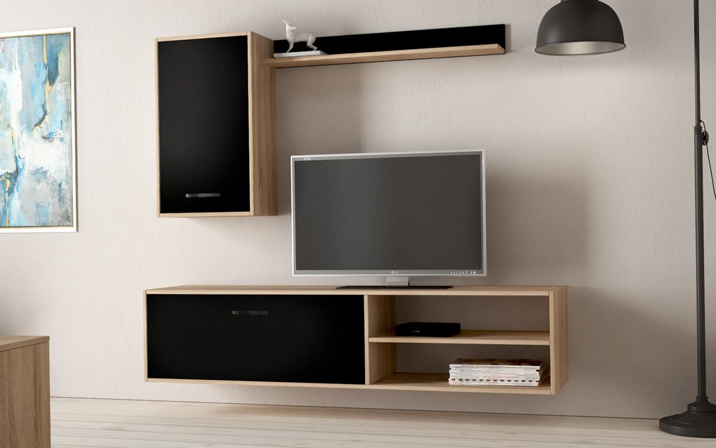 Секция Ремиса