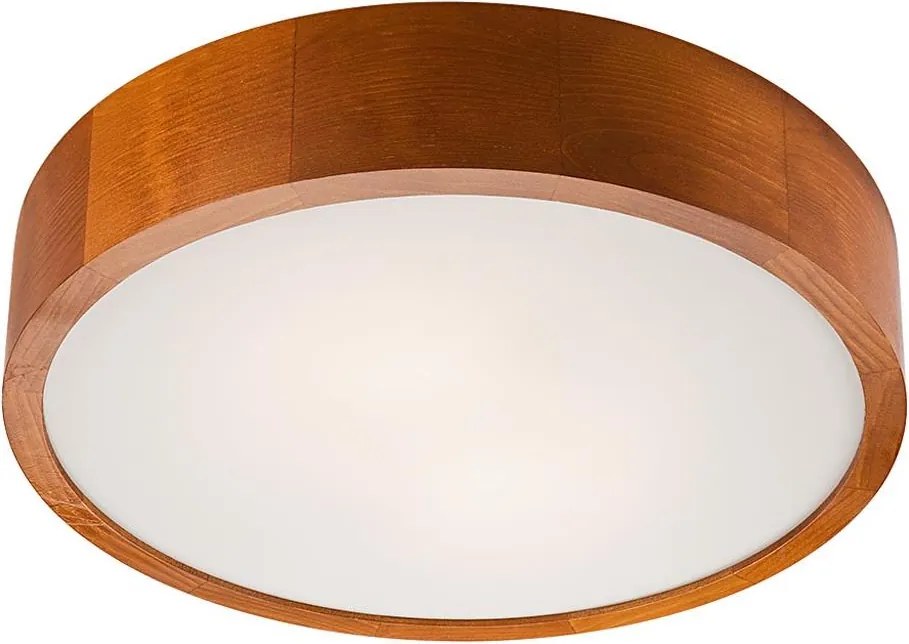 LED таванно осветително тяло LED/24W/230V