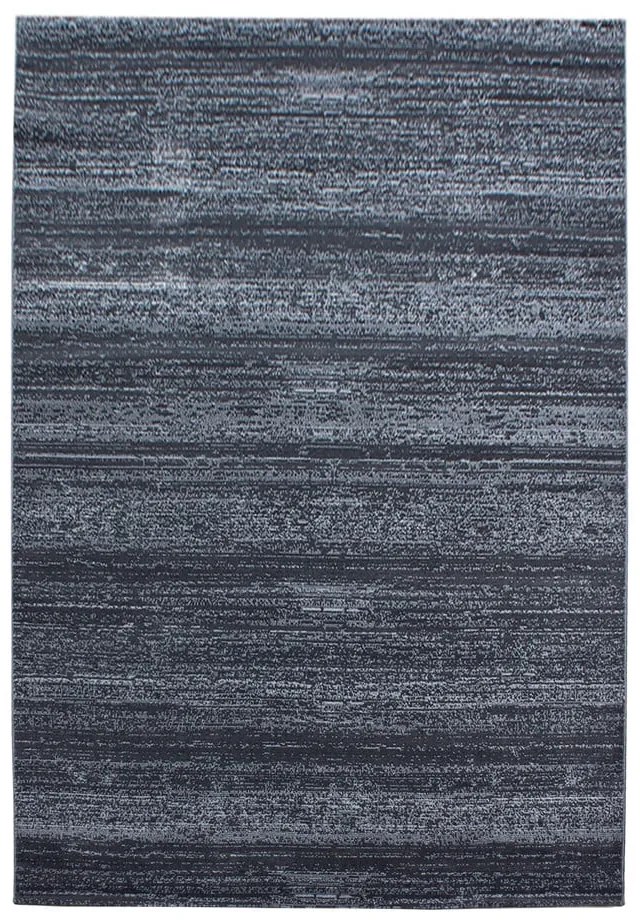 Сив килим 160x230 cm Plus – Ayyildiz Carpets