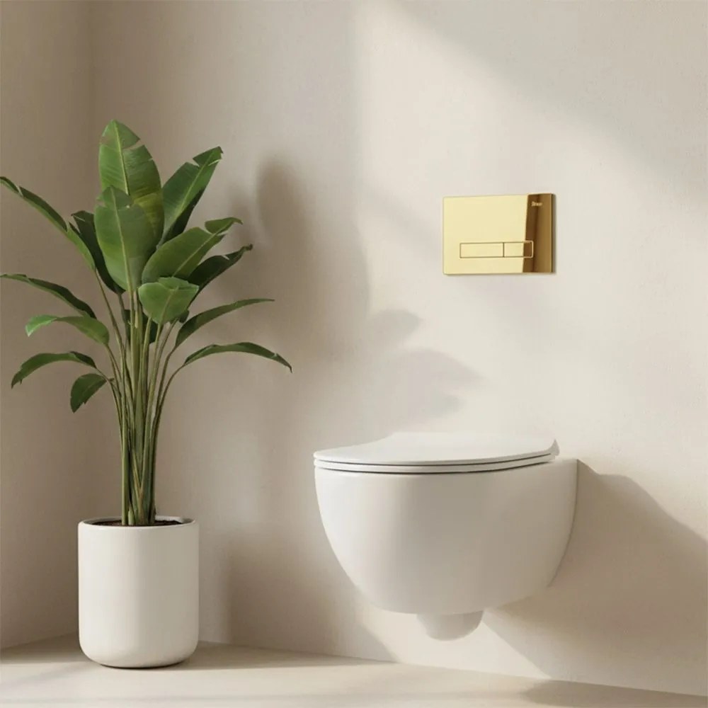 Бутон за тоалетна Rea HD K011A-Q и Slim 024N Gold