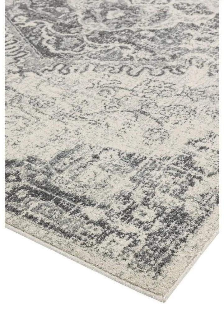 Сиво-кремав килим 200x290 cm Nova – Asiatic Carpets