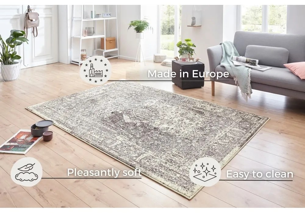 Сив и кремав килим Celebration , 200 x 290 cm Plume - Hanse Home