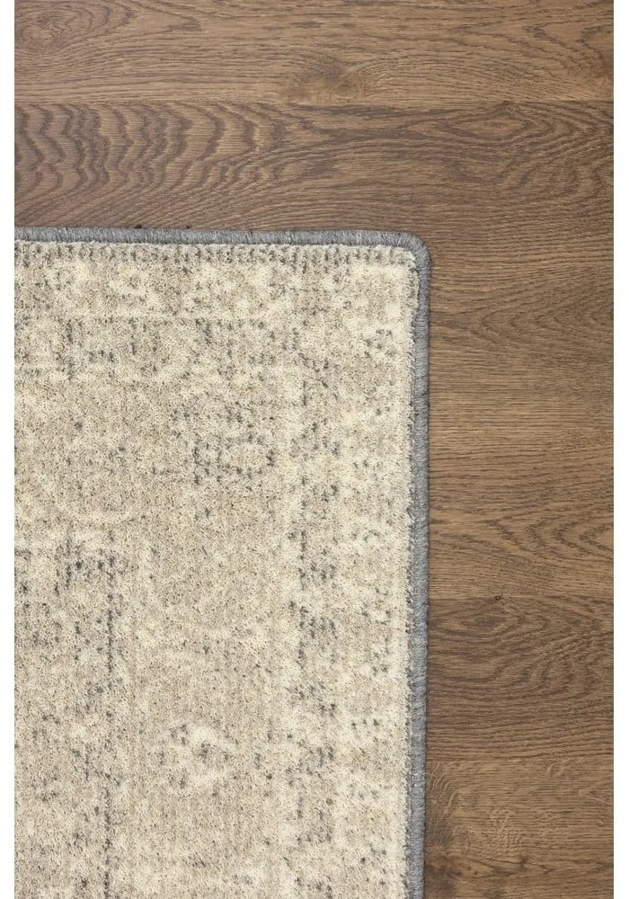 Бежов вълнен килим 160x240 cm William - Agnella