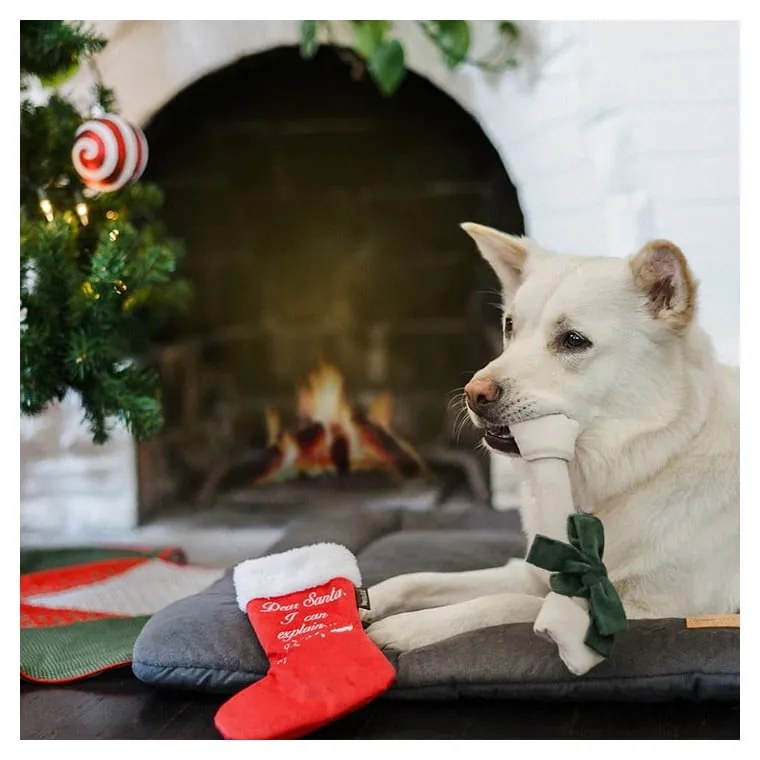 Играчка за куче Чорап с изненада - P.L.A.Y.