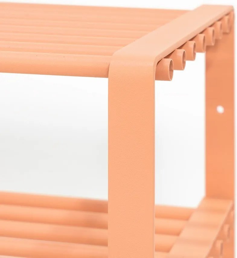 Стоманена стойка за обувки в цвят сьомга 100x48,5x29 cm Rex – Spinder Design