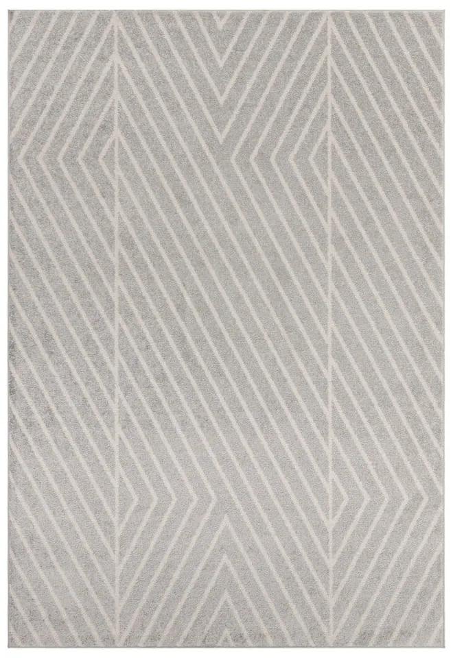 Светлосив килим 120x170 cm Muse - Asiatic Carpets