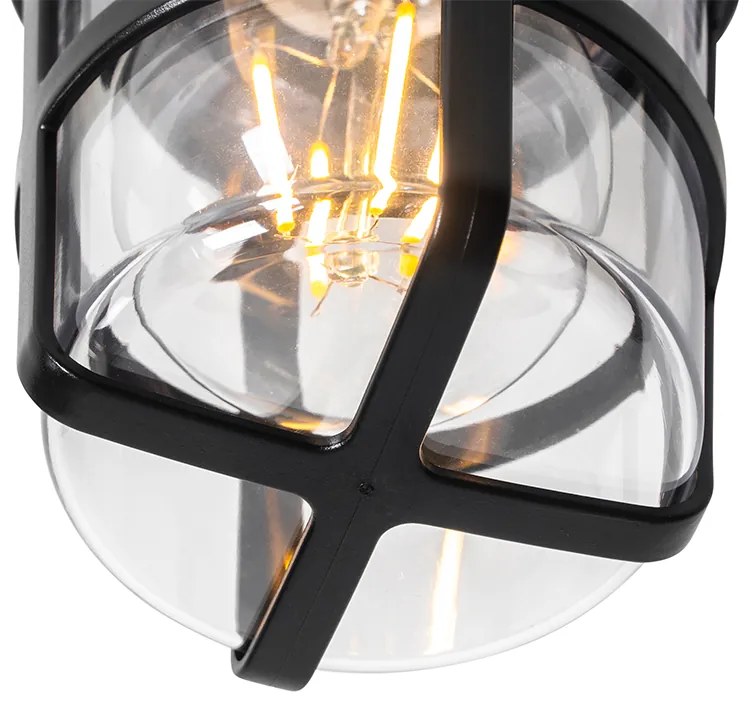 Таванна и стенна лампа черна с прозрачен абажур IP54 - Kiki