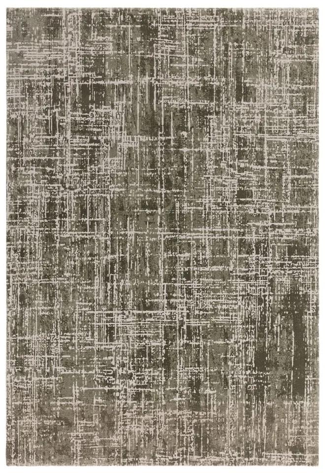 Килим в цвят каки 120x170 cm Kuza – Asiatic Carpets