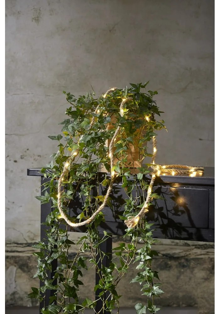 Кафява LED светлинна верига, дължина 2 м Jutta - Star Trading