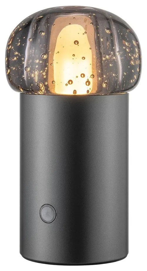 LED преносимо затъмняващо се външно осветително тяло с USB ø 10 cm Iris – Blomus