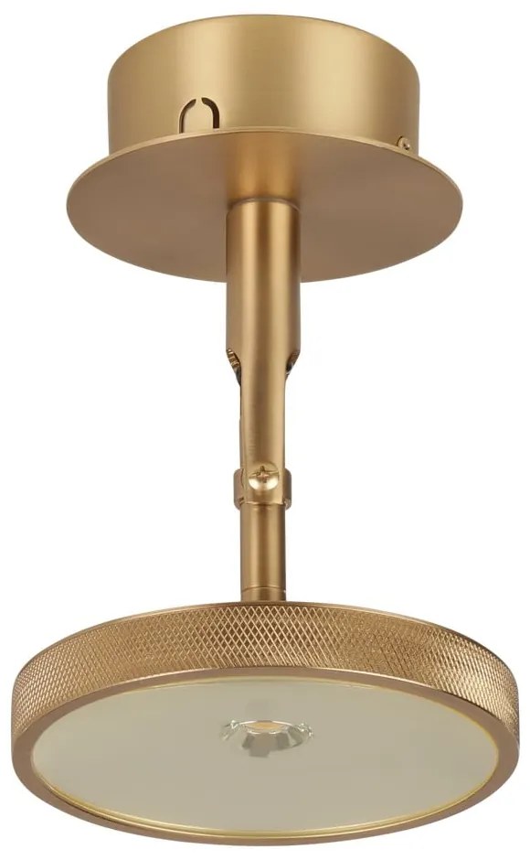 LED прожектор в златист цвят ø 12 cm Asteria Spot – UMAGE