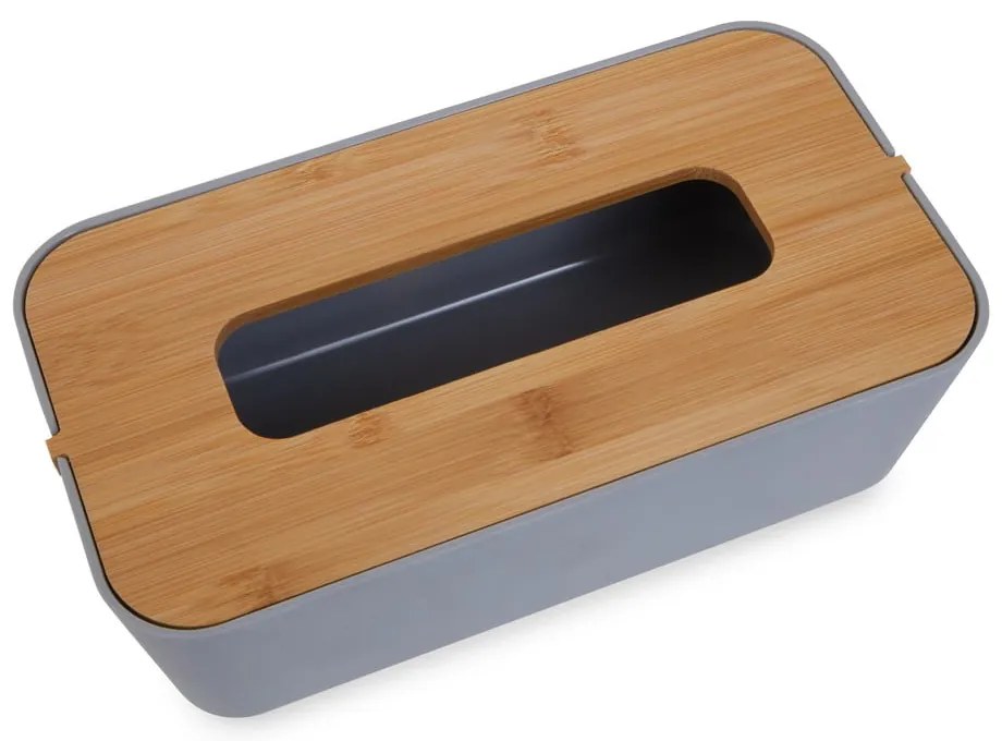 Пластмасова кутия за носни кърпички Canyon - Premier Housewares