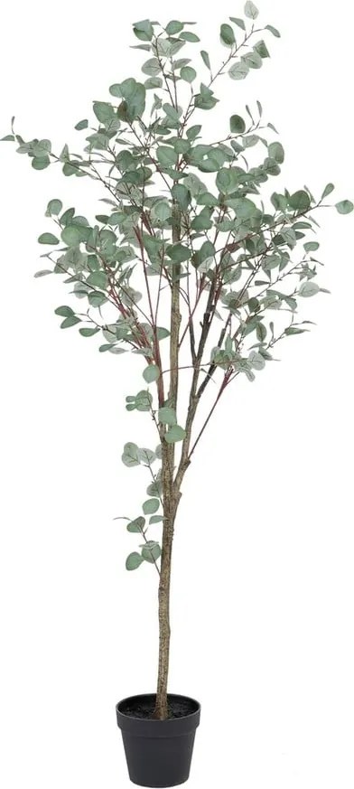 Изкуствен евкалипт (височина 180 cm) Eucalyptus – Ixia