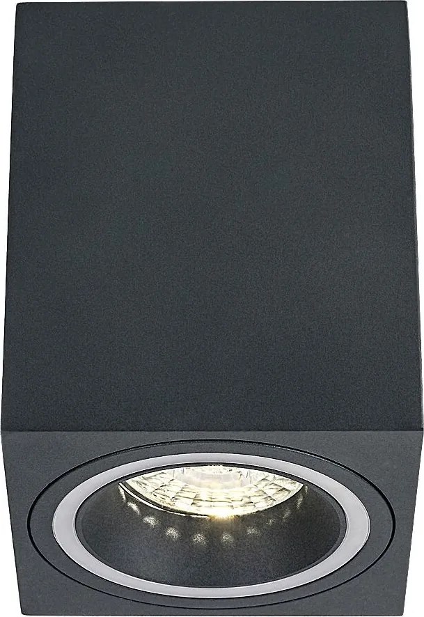 Rabalux Kobald Вградени и повърхностно монтирани лампи IP20 GU10 1X MAX 25W K 71164