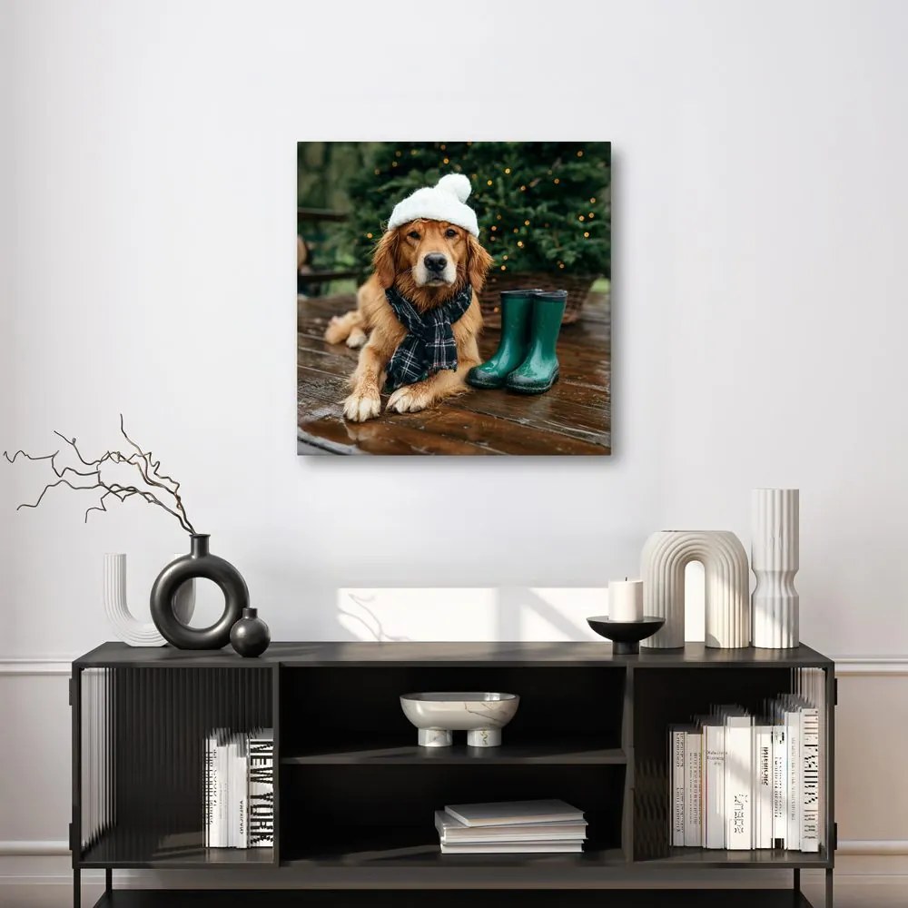 Картина на платно – Куче със зимна шапка