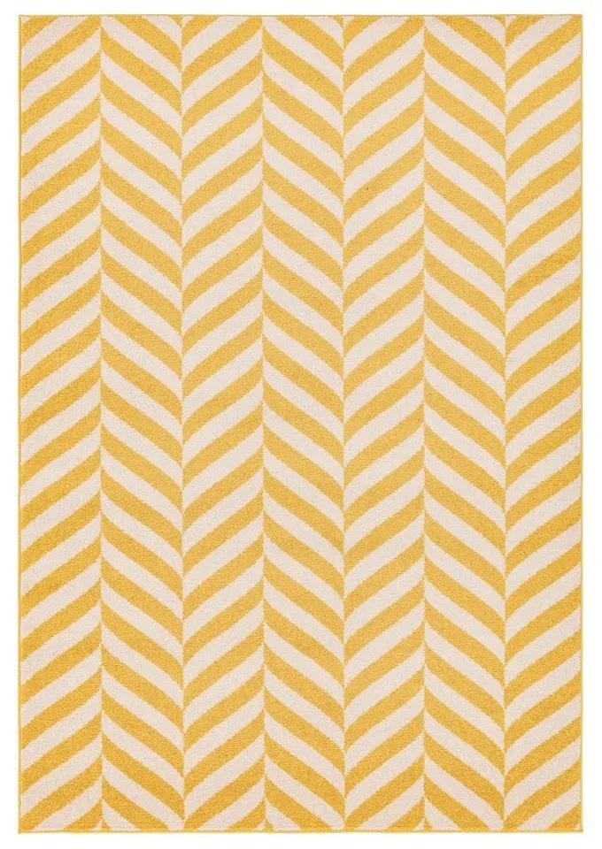 Жълт килим 170x120 cm Muse - Asiatic Carpets