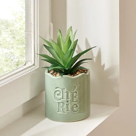 Изкуствено растение atmosphera Chéri, 17 cm, Различни видове
