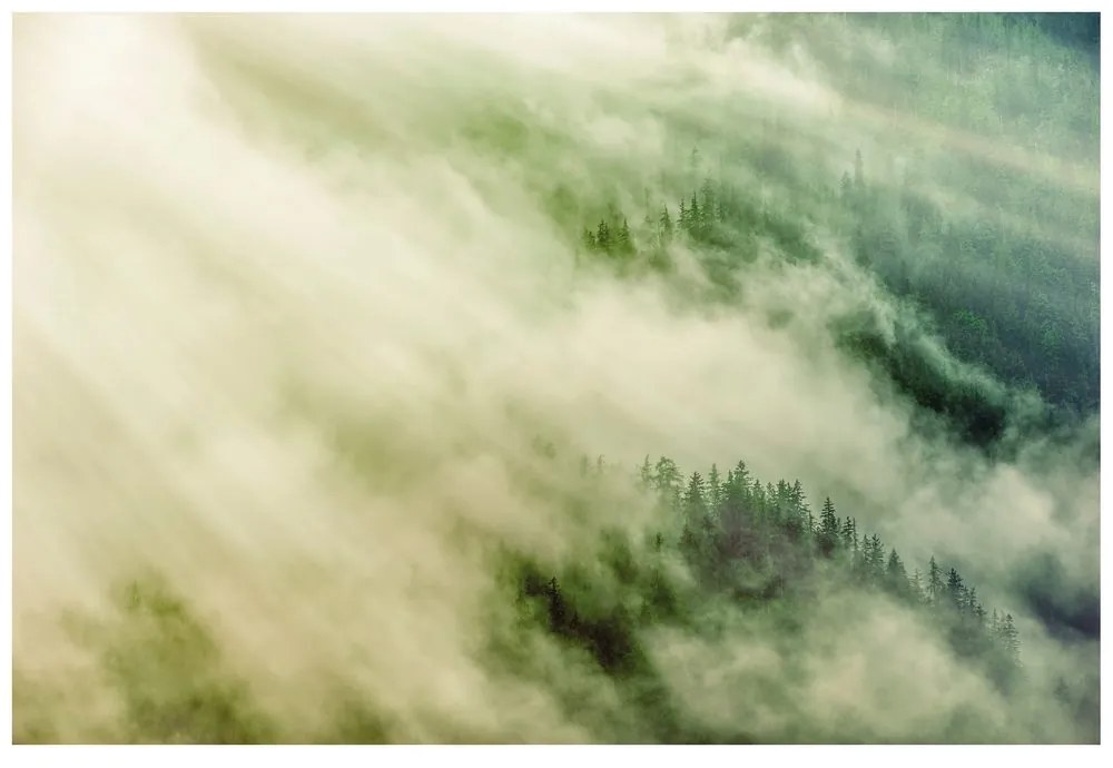 Фототапет – Мъглива гора