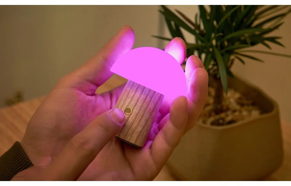 LED затъмняваща се настолна лампа от масивен ясен в естествен цвят (височина 7 cm) Alice – Gingko