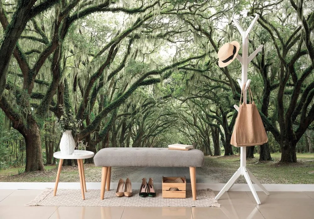 Самозалепващ фототапет – В прегръдка на дървета