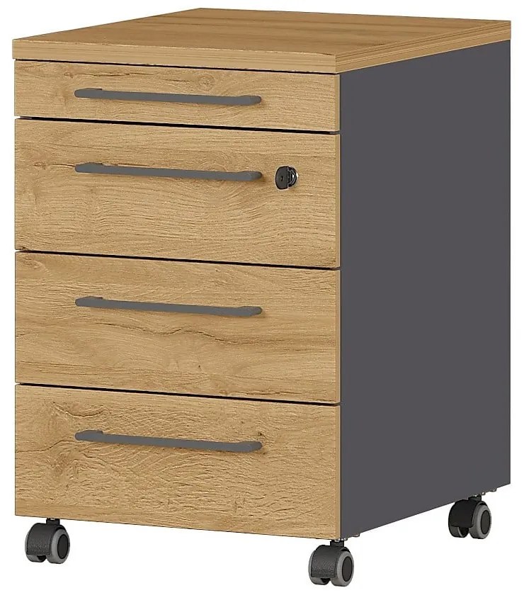 Дъбов шкаф в естествен цвят 42x61 cm Agenda - Germania