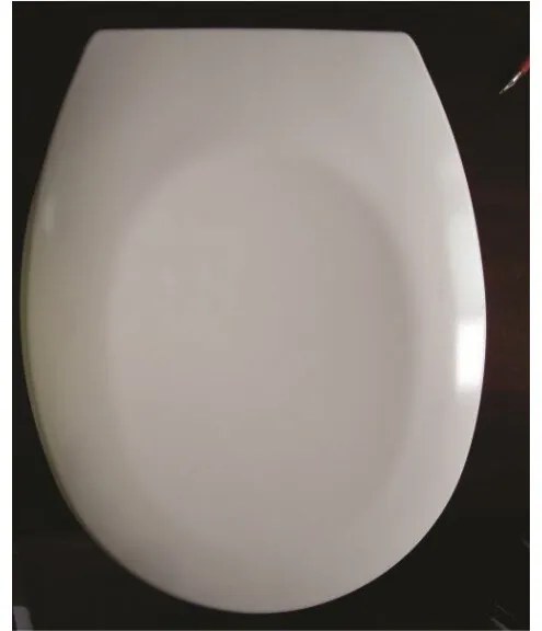 Тоалетна седалка ICST 723