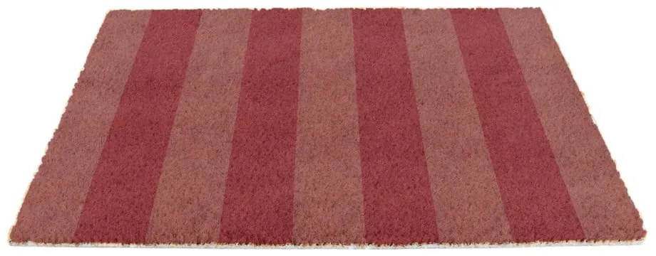 Изтривалка от кокосови влакна 40x60 cm Pink Stripe – Artsy Doormats