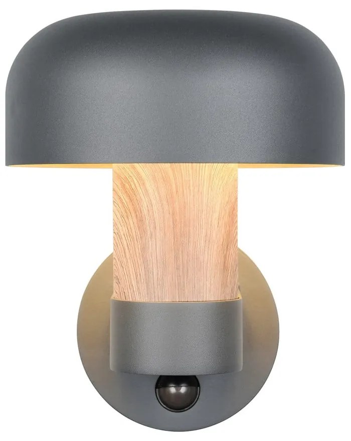 Стенно външно осветително тяло (височина 24,5 cm) Fraser – Trio