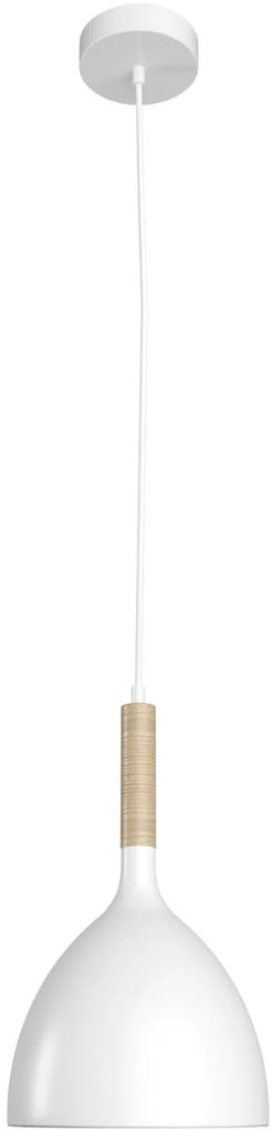 Висяща таванна лампа Woldes Единична лампа