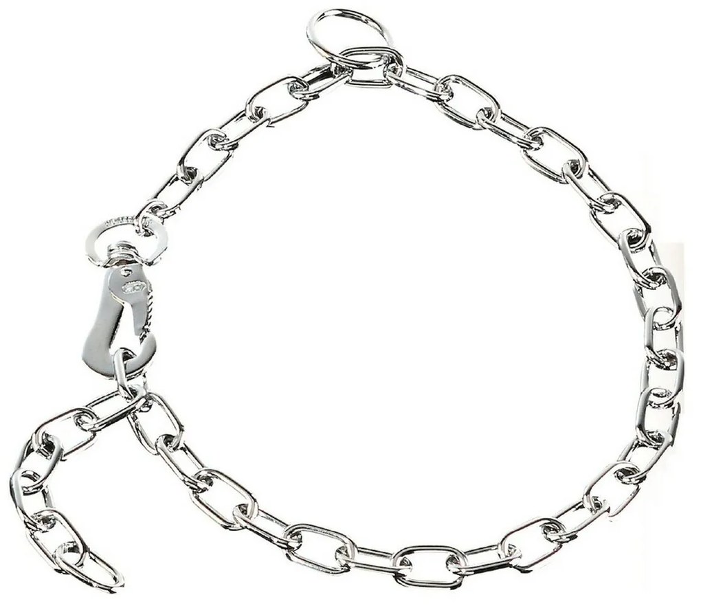 Кучешки Нашийник Hs Sprenger Сребрист 3 mm Гайки Късо (45 cm)
