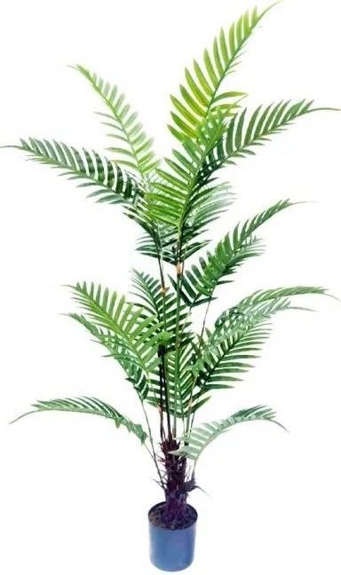 Декоративно растение Pearl Mallow в саксия-130