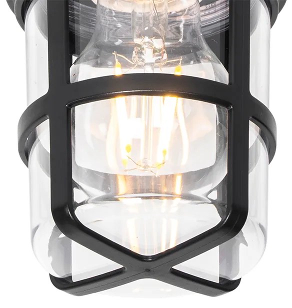 Таванна и стенна лампа черна с прозрачен абажур IP54 - Kiki