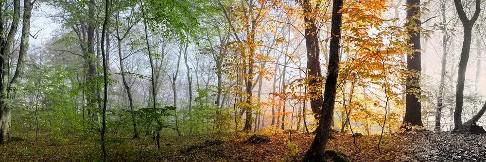 Картина на платно – Четири сезона