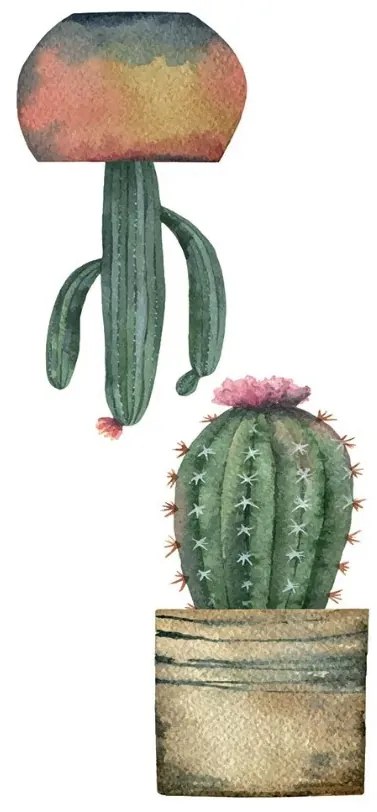 Декоративни стикери за стъкло Cactus S