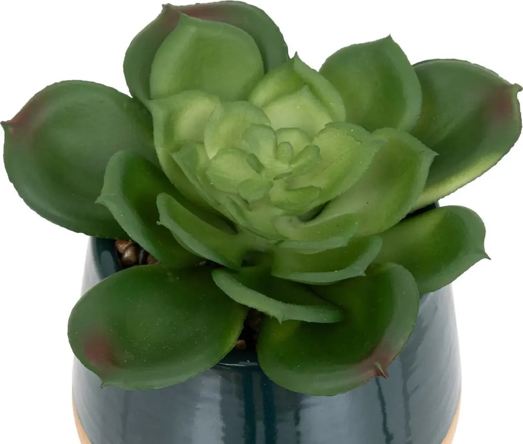 Изкуствено растение atmosphera Be Vintage, 12 cm, Различни видове