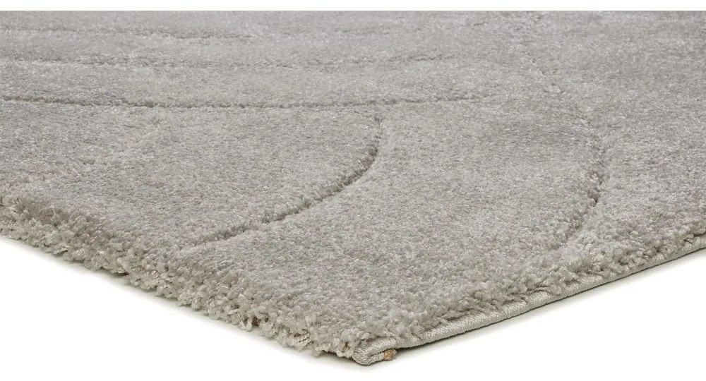 Светлосив килим 160x230 cm Molier – Universal