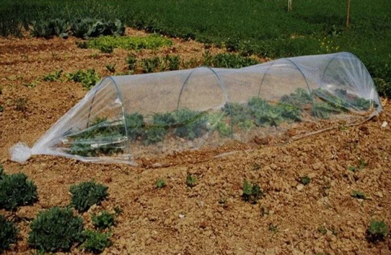 Малък градински политунел 1,8 x 10 m