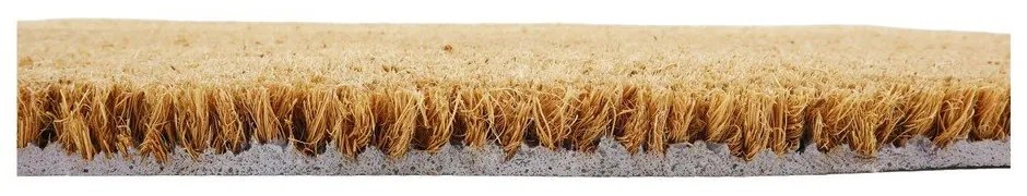 Изтривалка от кокосови влакна 40x60 cm Midnight Garden x Celia Battaini – Artsy Doormats
