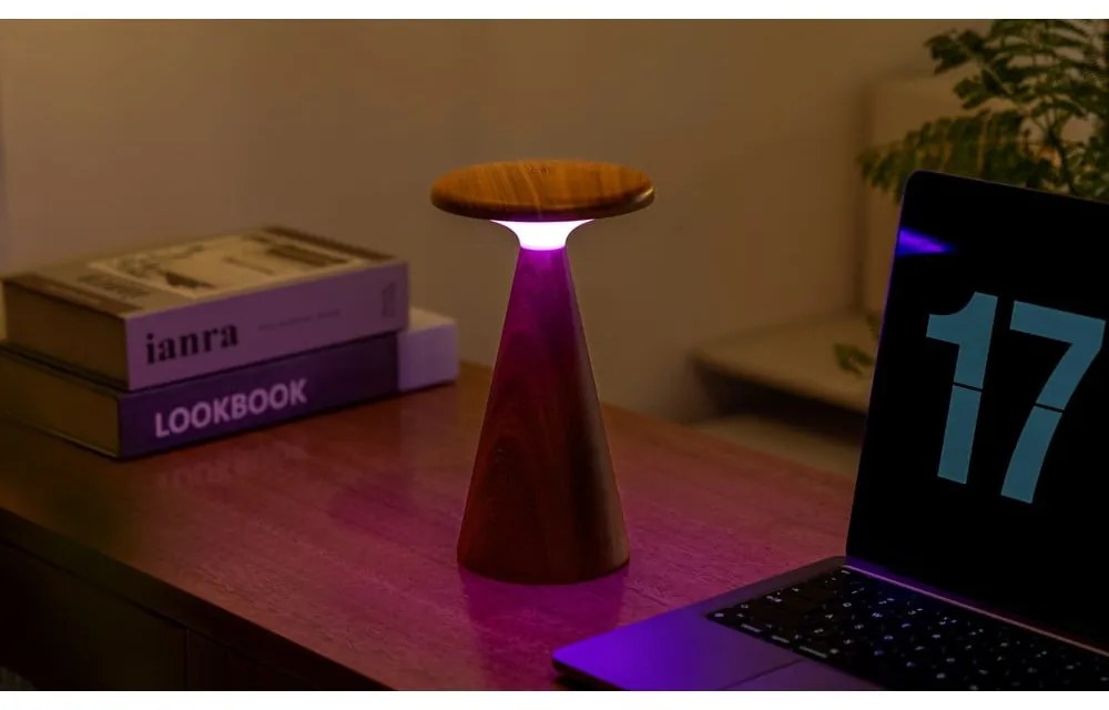 LED настолна лампа в тъмно естествен цвят с дървен абажур (височина 21 cm) Sylva – Gingko