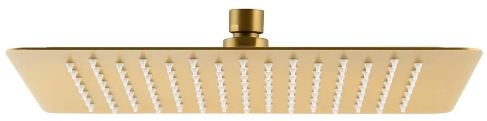 Душ глава от неръждаема стомана в златист цвят Slim – Sapho