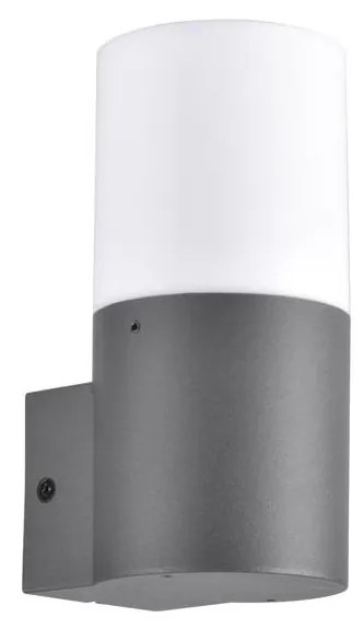 Външно стенна лампа DALLAS 1xE27/12W/230V IP44 антрацит