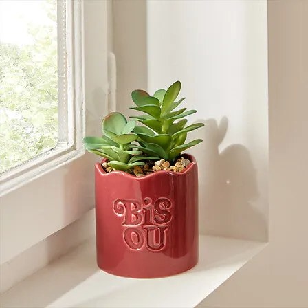 Изкуствено растение atmosphera Chéri, 17 cm, Различни видове