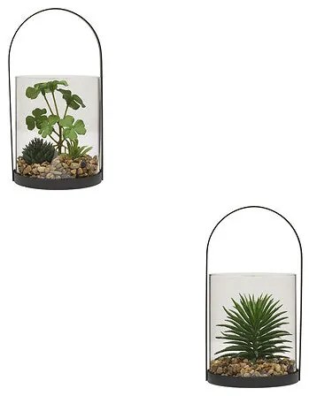 Изкуствено растение atmosphera Wilo Hanging Terrarium, 19 cm, Различни видове