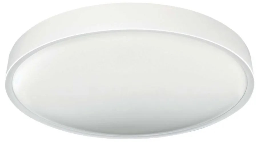 LED Плафон SAMER LED/24W/230V 4000K